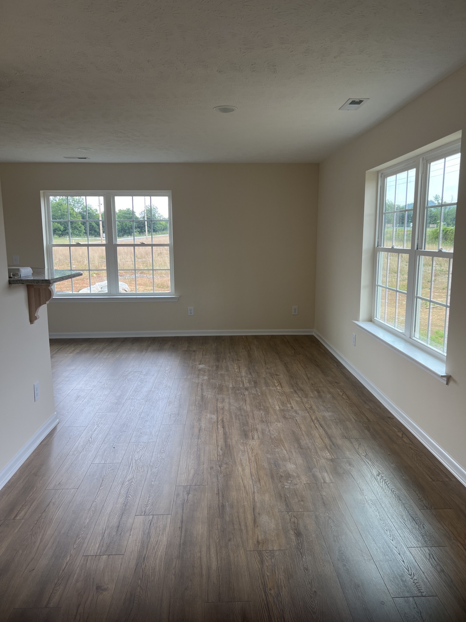 0 Dorsch Road Manchester, TN 37355 - Photo 10 of 14 an empty room with wooden floor and windows