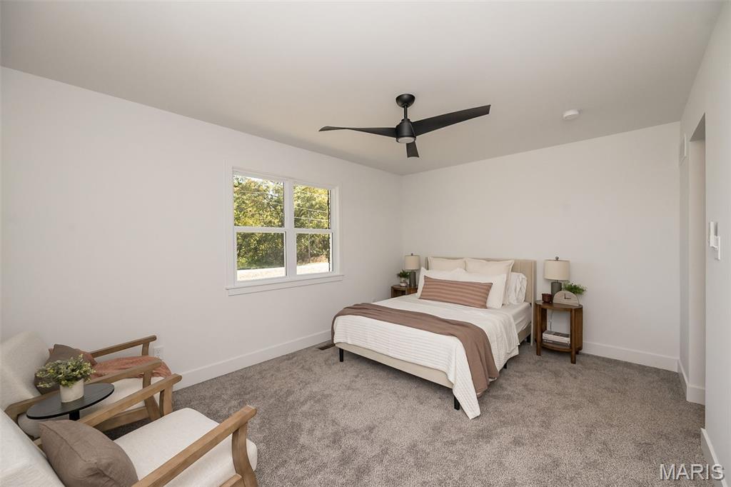 175 Sydnorville Road Troy, MO 63379 - Photo 38 of 60