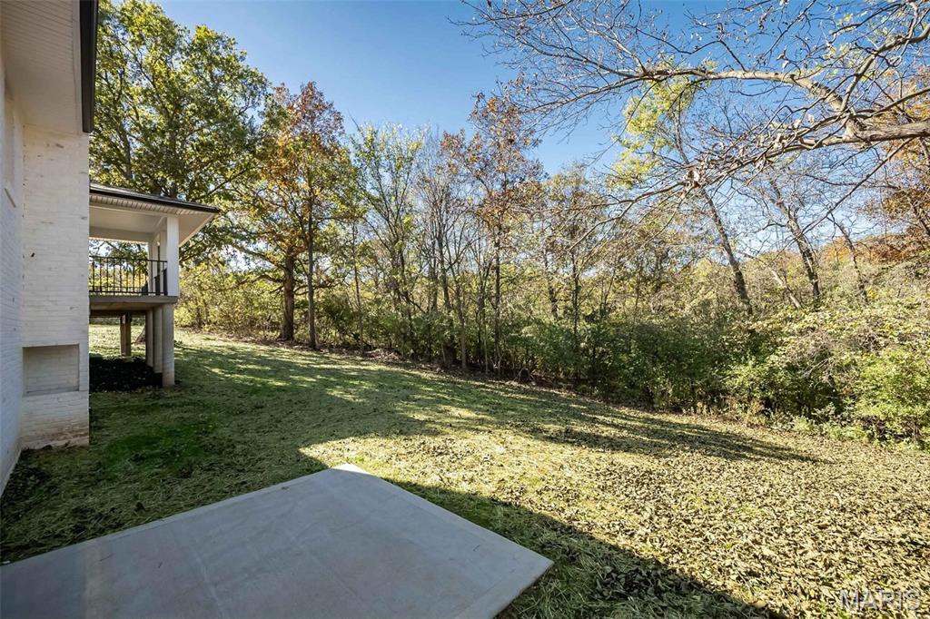 175 Sydnorville Road Troy, MO 63379 - Photo 55 of 60