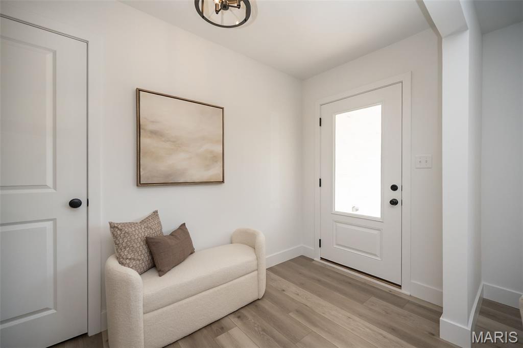 175 Sydnorville Road Troy, MO 63379 - Photo 8 of 60