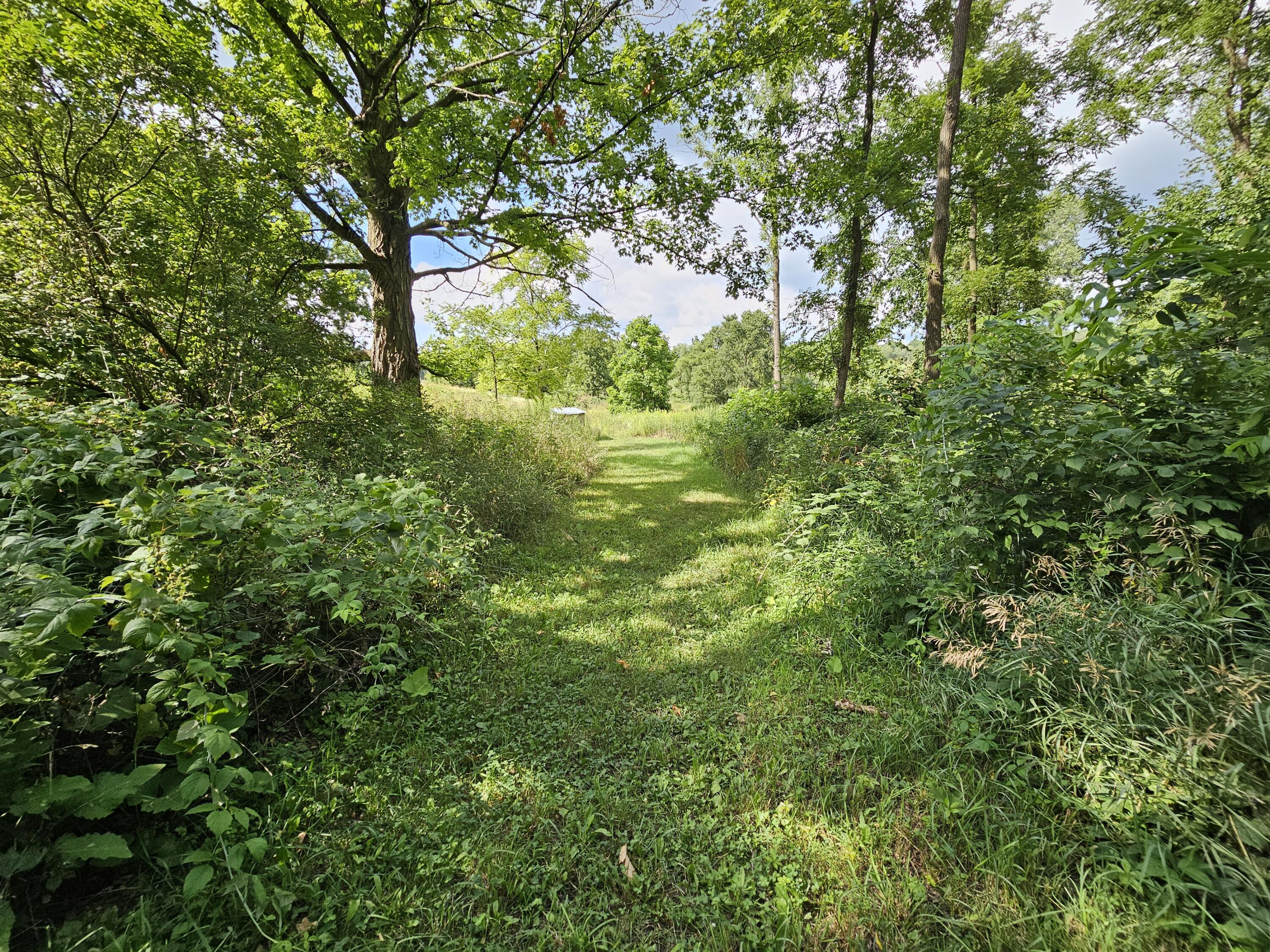 8475 Ross Road Muir, MI 48860 - Photo 7 of 36 Ross Rd