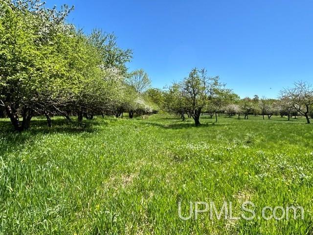 Tbd Tbd Bellaire Road Baraga, MI 49908 - Photo 41 of 49
