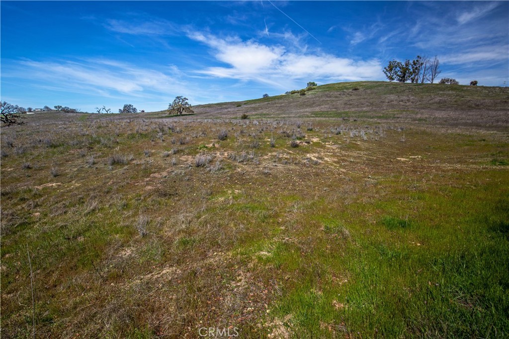 930 Windwood Road Paso Robles, CA 93446 - Photo 40 of 68 Gallery Image 40