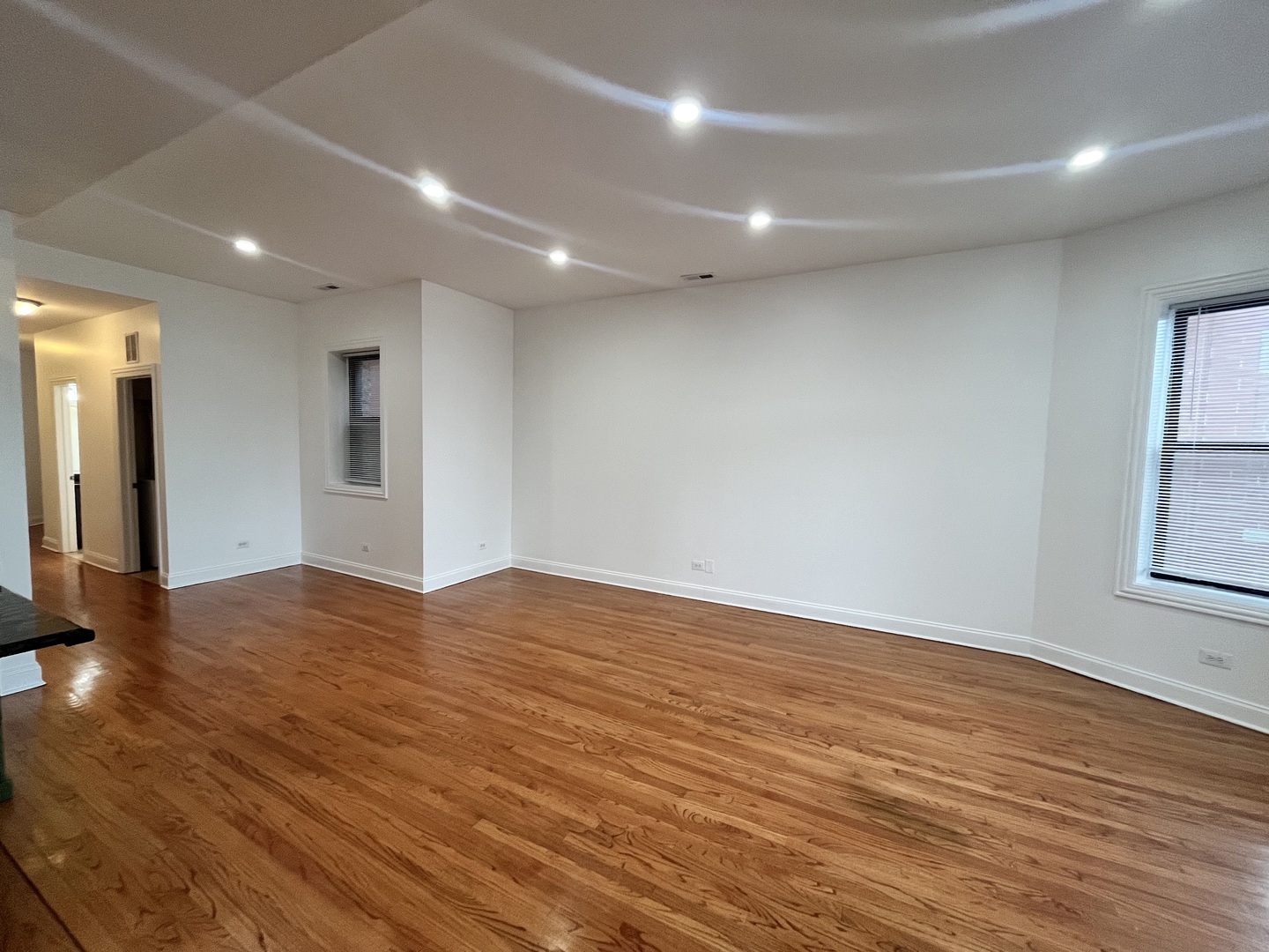 5172 South Michigan Avenue, Unit 2 Chicago, IL 60615 - Photo 8 of 34