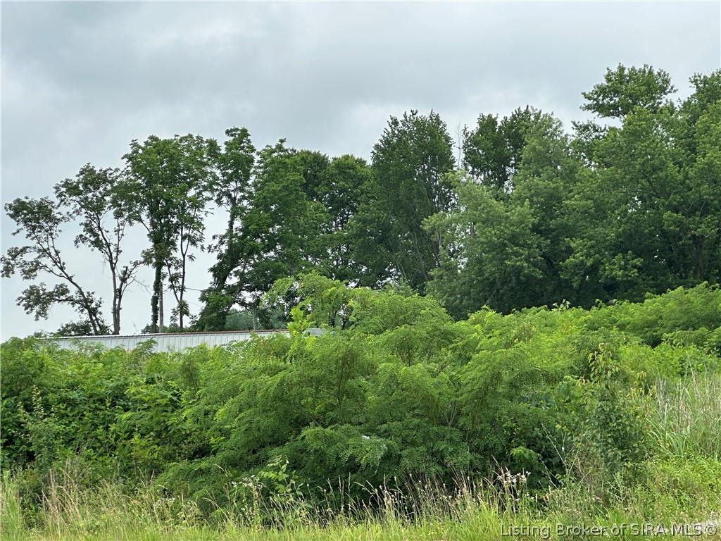 60 State Road Sellersburg, IN 47172 - Photo 4 of 9