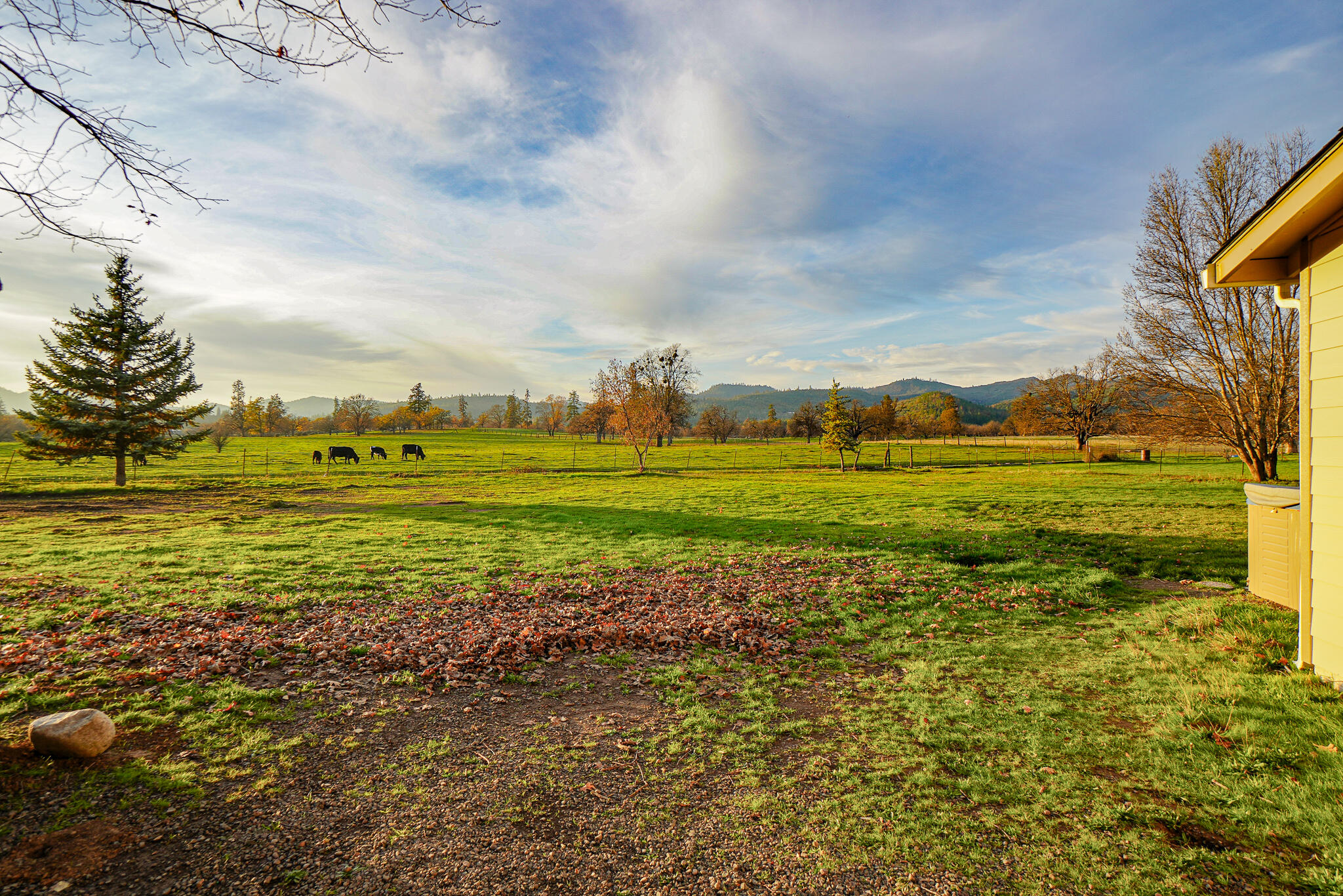 10699 Meadows Road White City, OR 97503 - Photo 13 of 47 DSC00905