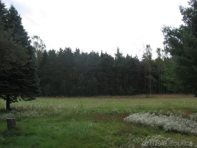 5548 Applegate Road Applegate, MI 48401 - Photo 22 of 26 31264454-21.JPG