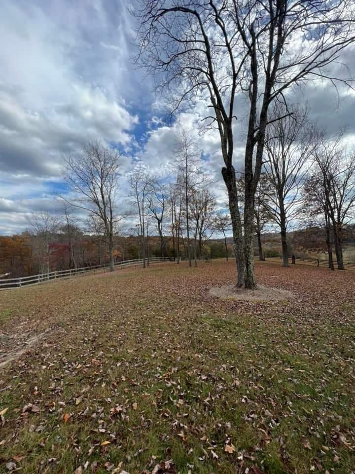 21354 Griffith Road Logan, OH 43138 - Photo 20 of 82 Griffith one