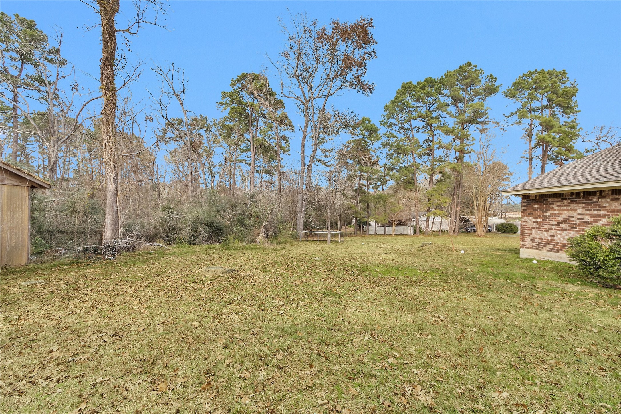 4655 Old Anderson Lane Conroe, TX 77304 - Photo 23 of 23 a view of a yard with trees