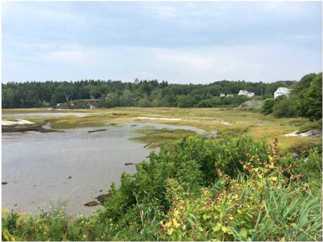 Lot # Parker Head Road Phippsburg, ME 04562 - Photo 6 of 9 View. This is one viewpoint from a...