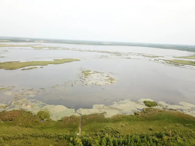 $527,800 | Tbd Tbd 460th St Pine Lake, Gonvick, MN 56644