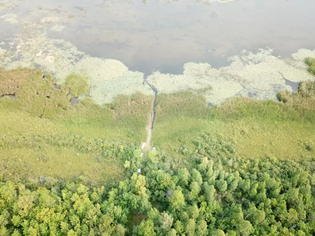 $527,800 | Tbd Tbd 460th St Pine Lake, Gonvick, MN 56644