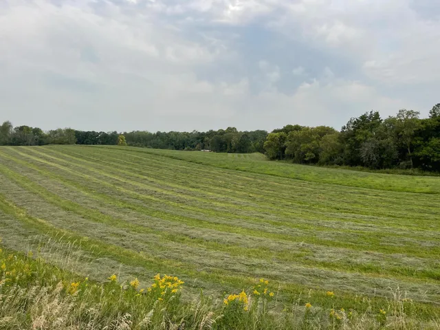 $527,800 | Tbd Tbd 460th St Pine Lake, Gonvick, MN 56644