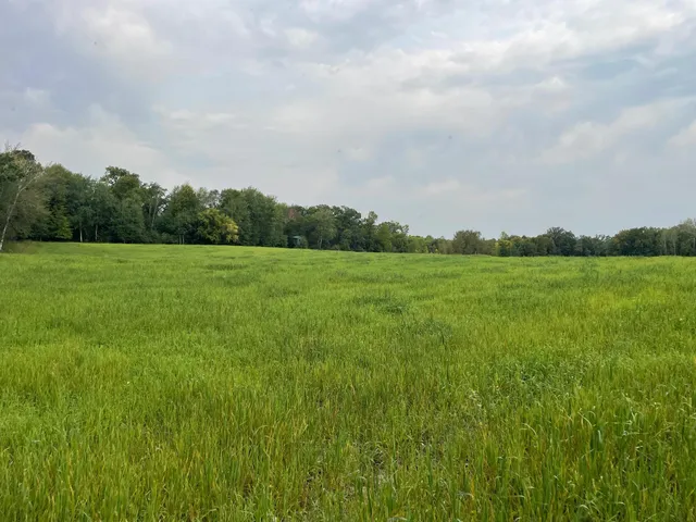 $527,800 | Tbd Tbd 460th St Pine Lake, Gonvick, MN 56644