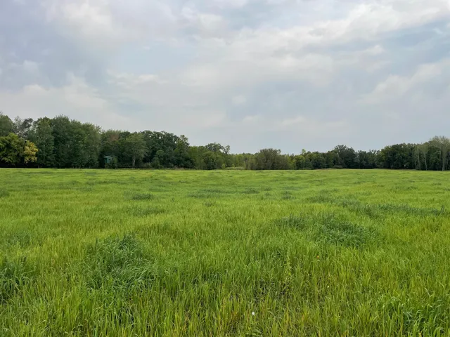 $527,800 | Tbd Tbd 460th St Pine Lake, Gonvick, MN 56644