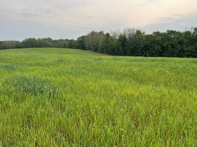 $527,800 | Tbd Tbd 460th St Pine Lake, Gonvick, MN 56644