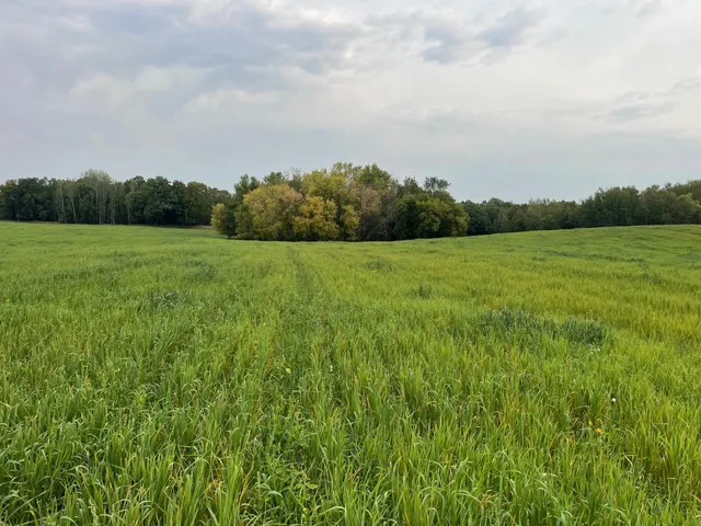 $527,800 | Tbd Tbd 460th St Pine Lake, Gonvick, MN 56644