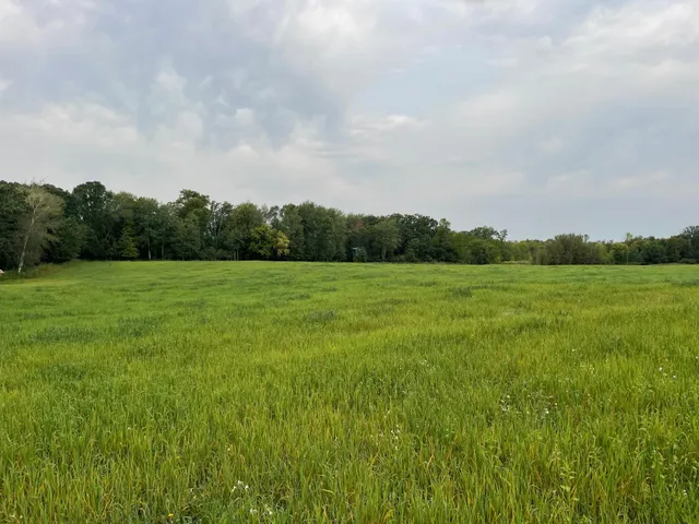 $527,800 | Tbd Tbd 460th St Pine Lake, Gonvick, MN 56644