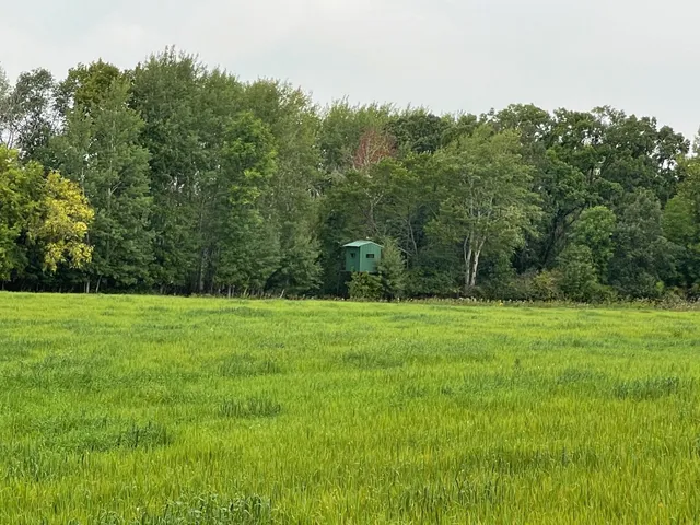 $527,800 | Tbd Tbd 460th St Pine Lake, Gonvick, MN 56644