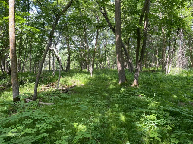 $527,800 | Tbd Tbd 460th St Pine Lake, Gonvick, MN 56644