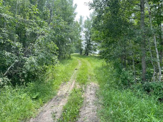 $527,800 | Tbd Tbd 460th St Pine Lake, Gonvick, MN 56644