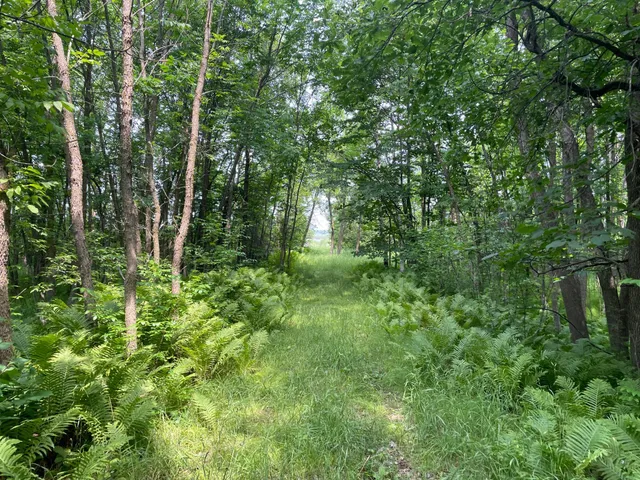 $527,800 | Tbd Tbd 460th St Pine Lake, Gonvick, MN 56644