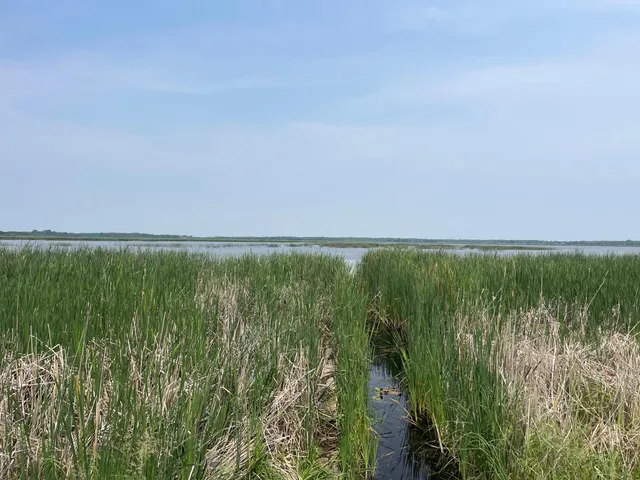 $527,800 | Tbd Tbd 460th St Pine Lake, Gonvick, MN 56644