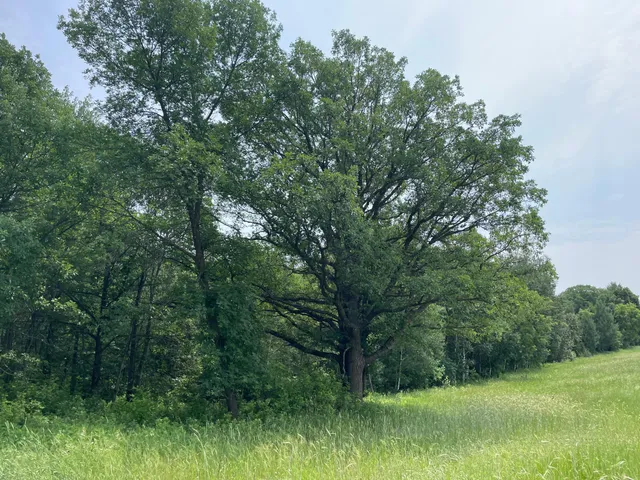 $527,800 | Tbd Tbd 460th St Pine Lake, Gonvick, MN 56644