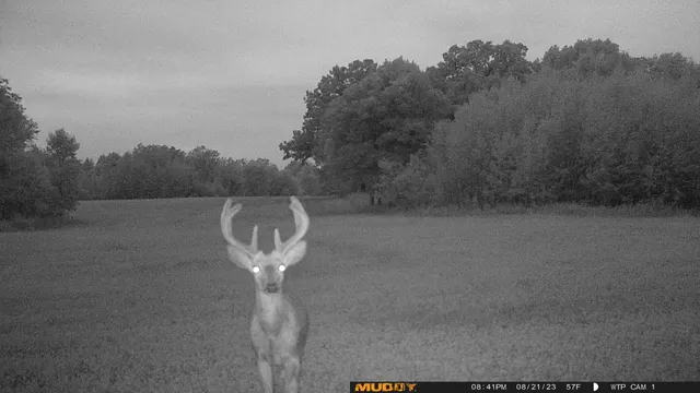 $527,800 | Tbd Tbd 460th St Pine Lake, Gonvick, MN 56644