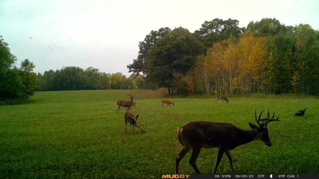 $527,800 | Tbd Tbd 460th St Pine Lake, Gonvick, MN 56644