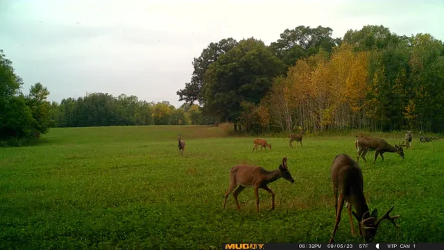 $527,800 | Tbd Tbd 460th St Pine Lake, Gonvick, MN 56644