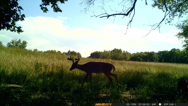 $527,800 | Tbd Tbd 460th St Pine Lake, Gonvick, MN 56644