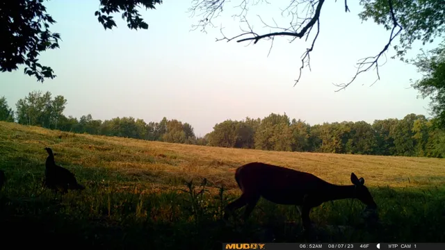 $527,800 | Tbd Tbd 460th St Pine Lake, Gonvick, MN 56644