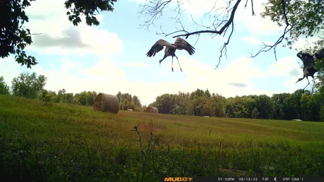 $527,800 | Tbd Tbd 460th St Pine Lake, Gonvick, MN 56644