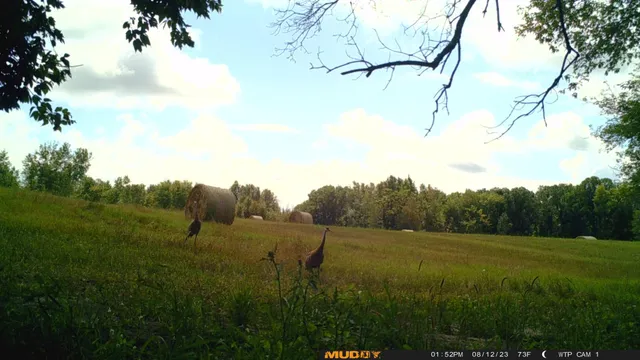 $527,800 | Tbd Tbd 460th St Pine Lake, Gonvick, MN 56644