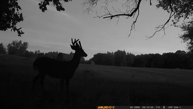 $527,800 | Tbd Tbd 460th St Pine Lake, Gonvick, MN 56644