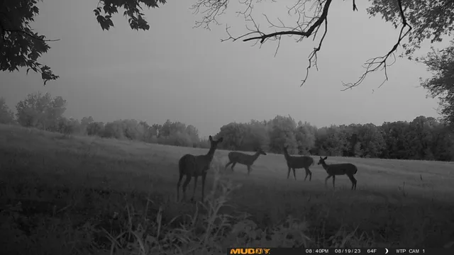 $527,800 | Tbd Tbd 460th St Pine Lake, Gonvick, MN 56644