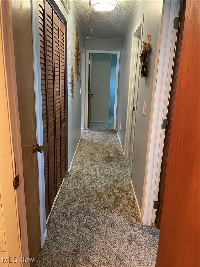 5741 Jaycox Road North Ridgeville, OH 44039 - Photo 12 of 23 Corridor with a textured ceiling and carpet floors