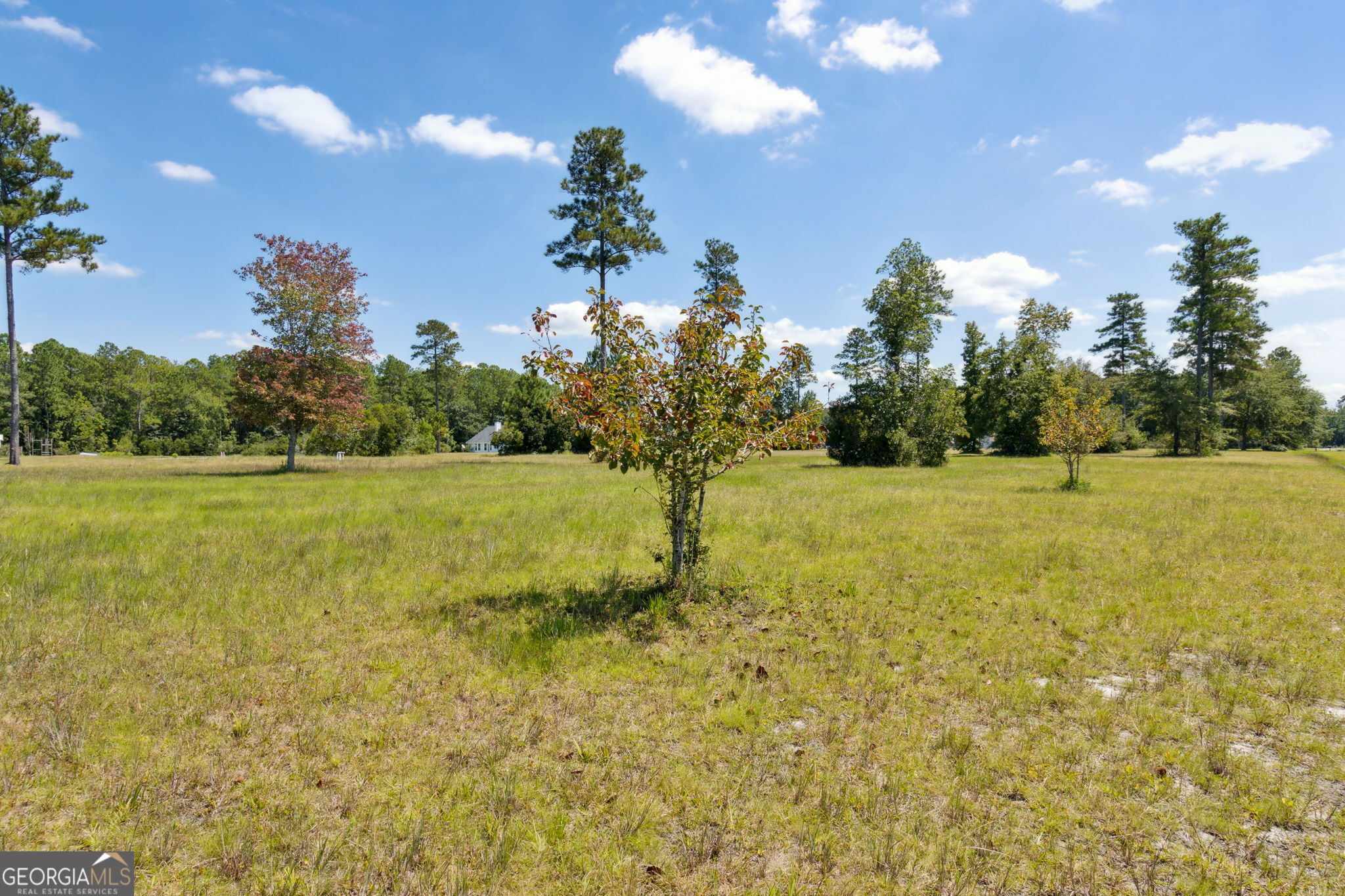 77 Thoroughbred Road Woodbine, GA 31569 - Photo 56 of 73 a view of a garden