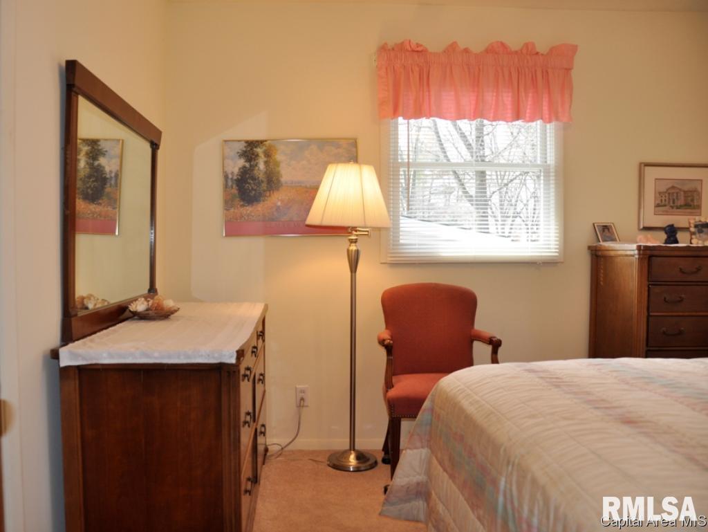831 Independence Ridge Springfield, IL 62702 - Photo 22 of 30