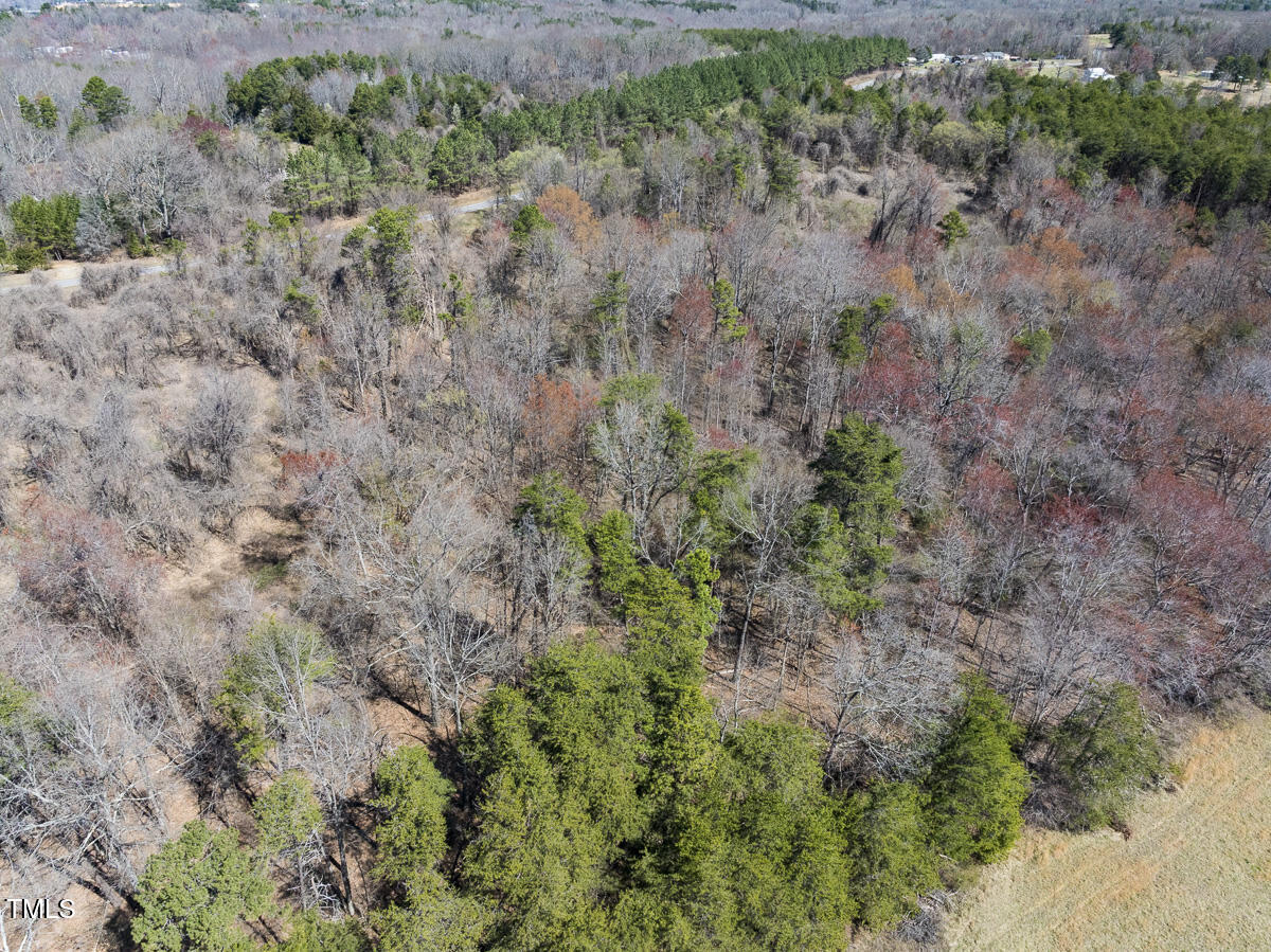 Lot 3 Goodman Road Pelham, NC 27311 - Photo 8 of 32 Caswell Co. NC 3.31-Skyview-Lot 3-08
