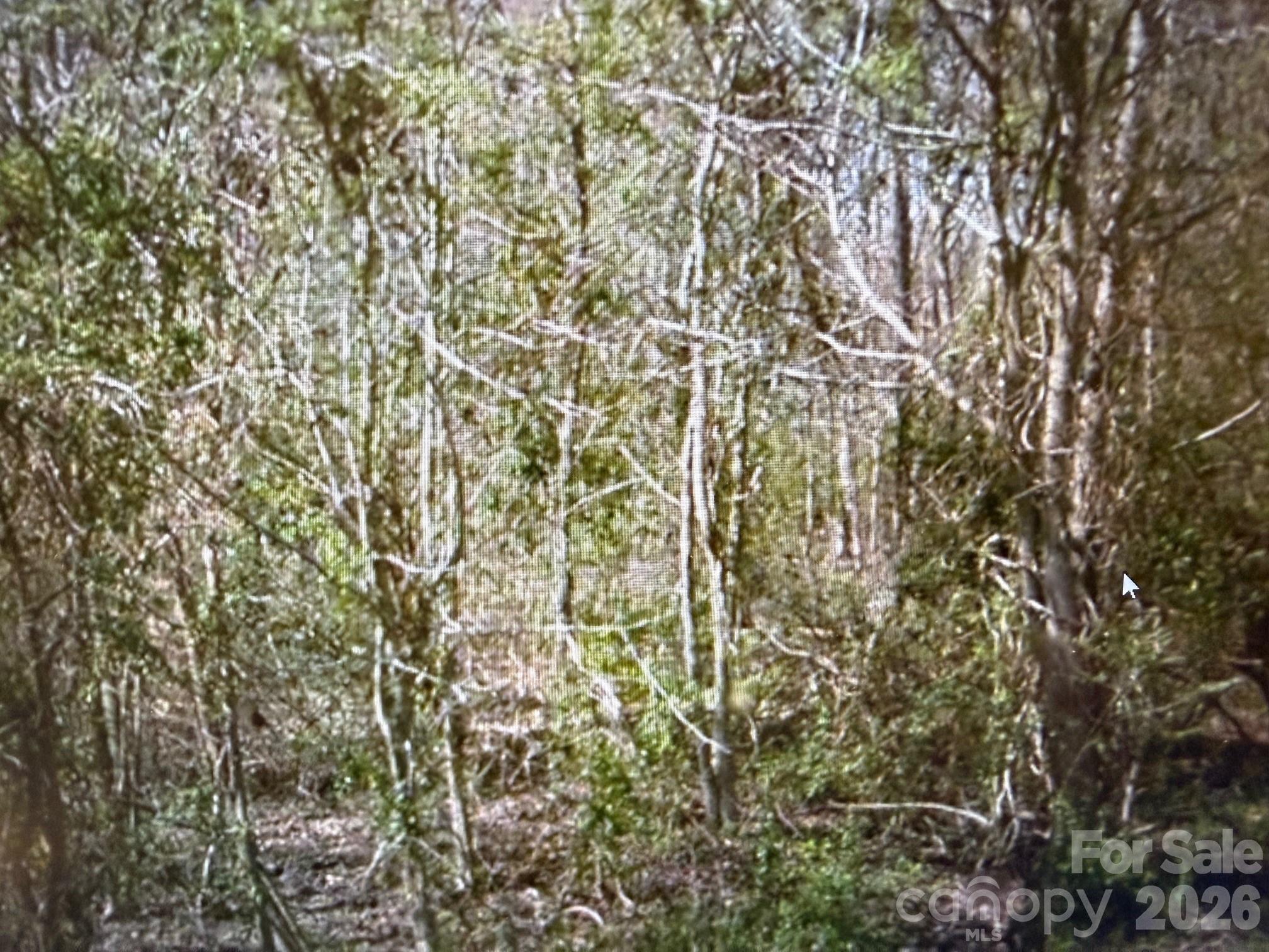 0 Crestview Lane Locust, NC 28097 - Photo 2 of 3