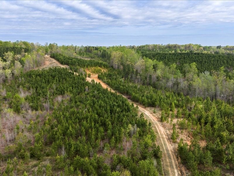 Cutbanks Road Pamplin, VA 23958 - Photo 31 of 44 Gallery Image 31