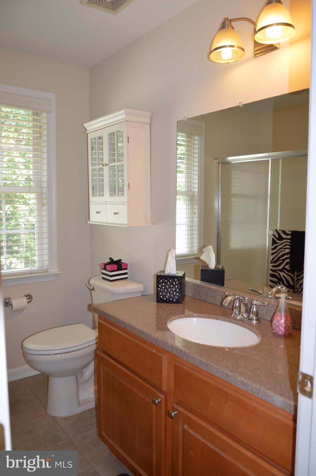 7536 Talbot Run Road Mount Airy, MD 21771 - Photo 12 of 22 a bathroom with a toilet sink and mirror