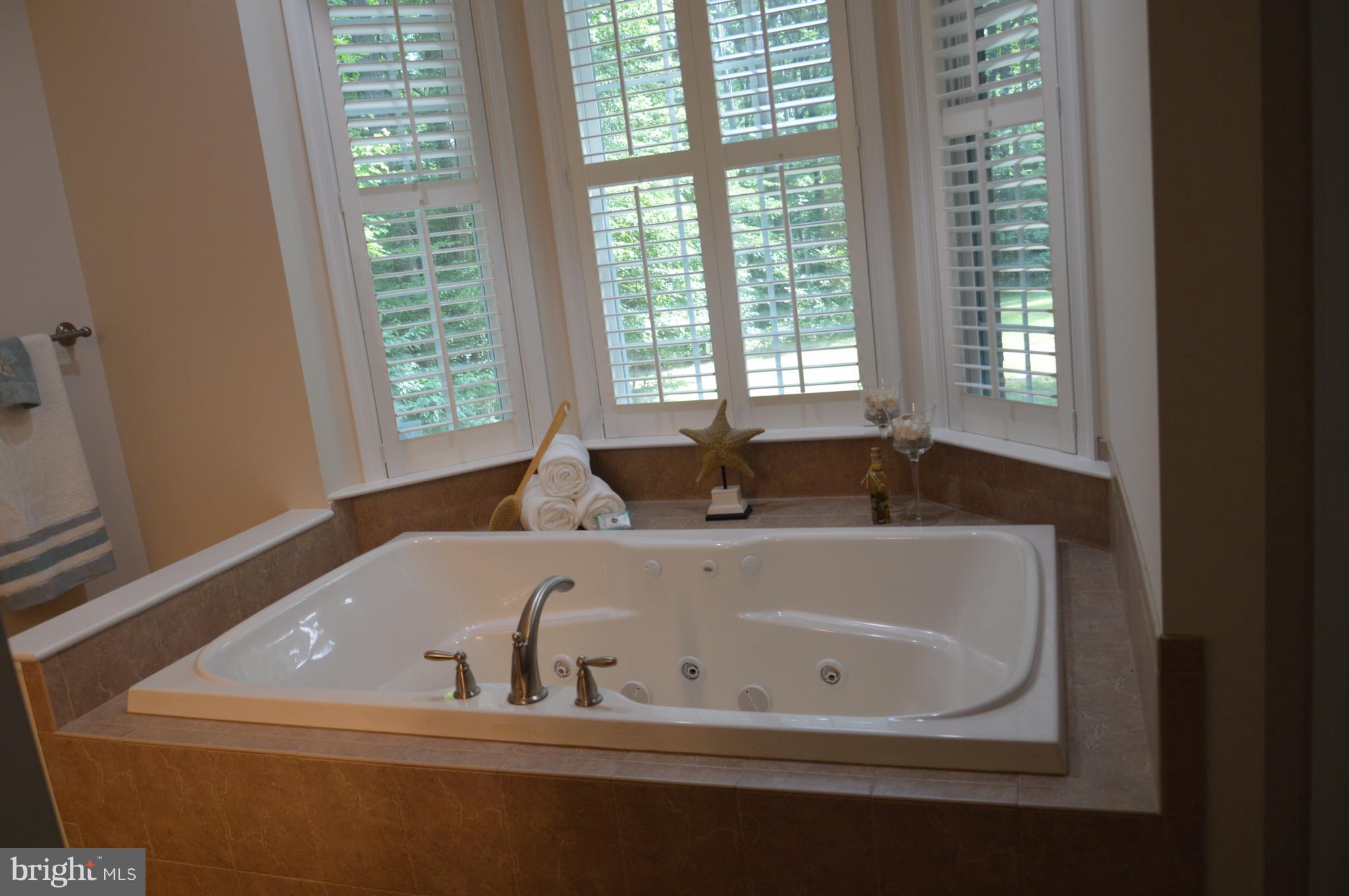 7536 Talbot Run Road Mount Airy, MD 21771 - Photo 20 of 22 a bath tub sitting in a bathroom next to a window