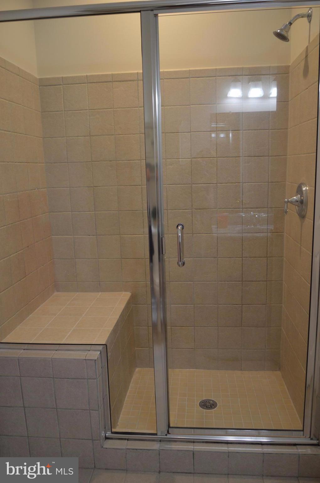 7536 Talbot Run Road Mount Airy, MD 21771 - Photo 8 of 22 a bathroom with a shower