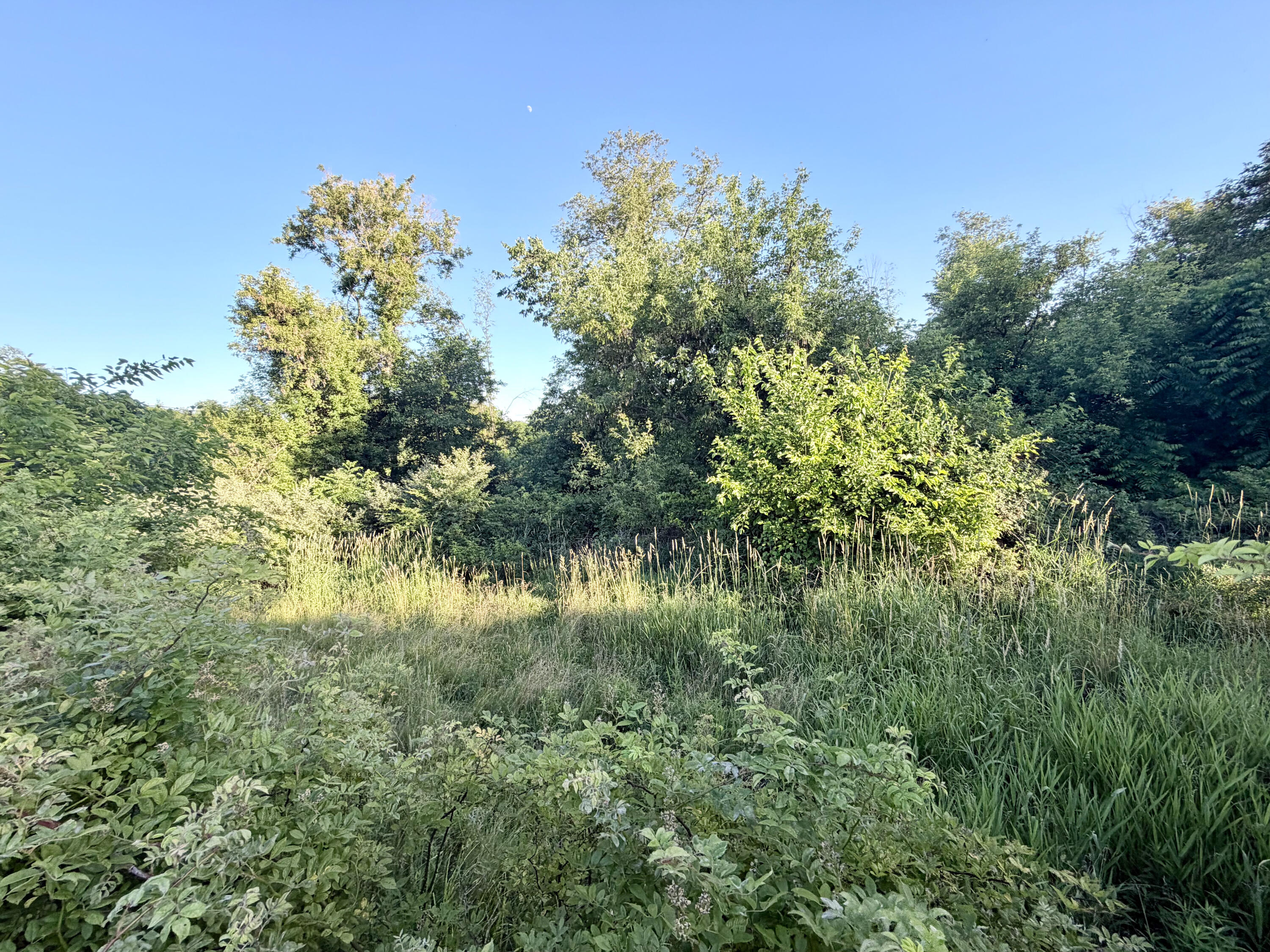8375 South Stoney Lake Road Jackson, MI 49201 - Photo 66 of 101 Jackson 111.84-066