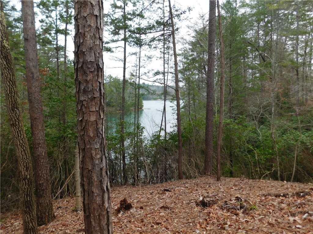 Lot 16 Old Chapman Bridge Road Salem, SC 29676 - Photo 4 of 6 Gallery Image 4