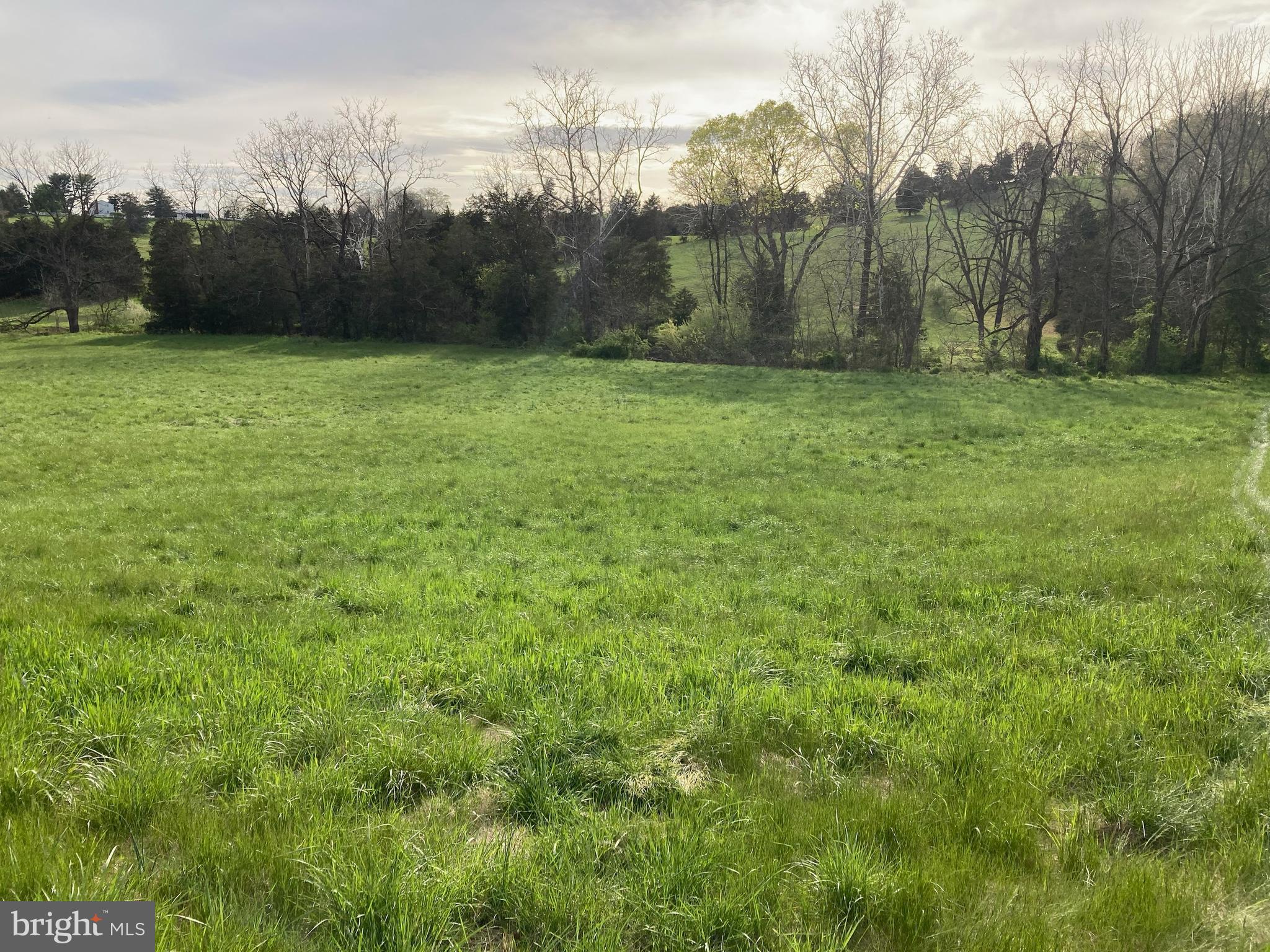 Gap Road Strasburg, VA 22657 - Photo 1 of 4 Gallery Image 1