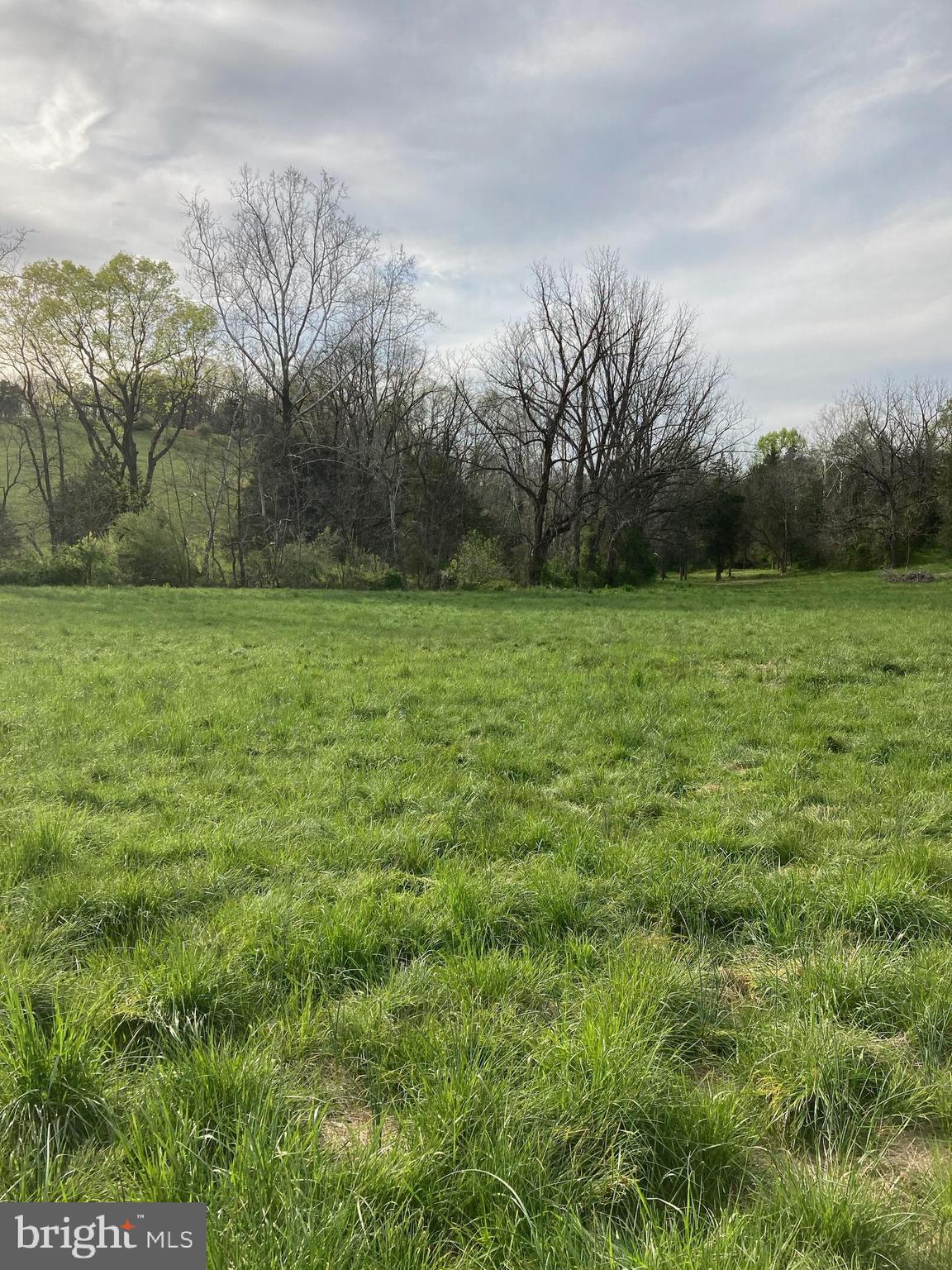 Gap Road Strasburg, VA 22657 - Photo 2 of 4 Gallery Image 2